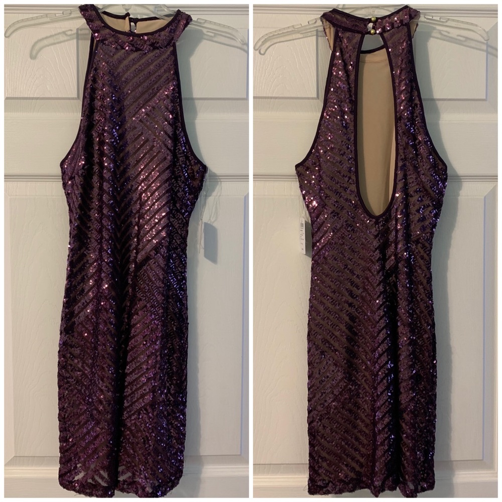 Windsor Sequin Plum Dress